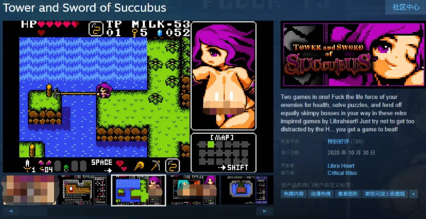 图片[2]-[PC游戏]T15145 Tower and Sword of Succubus Steam官方中文版 [新作/156.4M]-资源巴士
