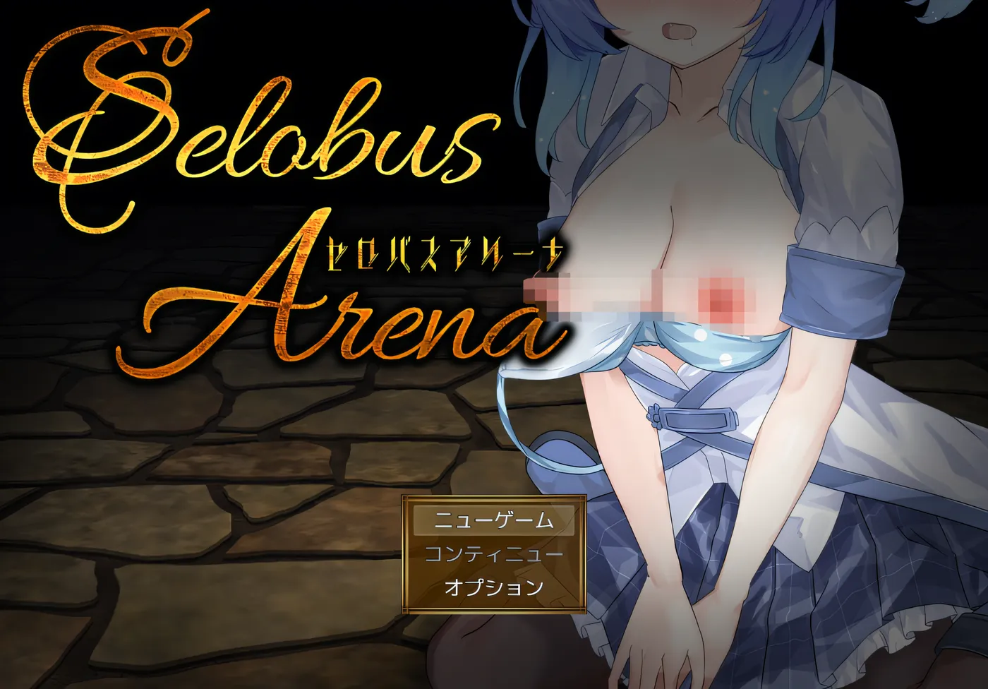 [PC游戏]T14712 SelobusArena Ver1.0 AI汉化版 [新作/1.5G]-资源巴士