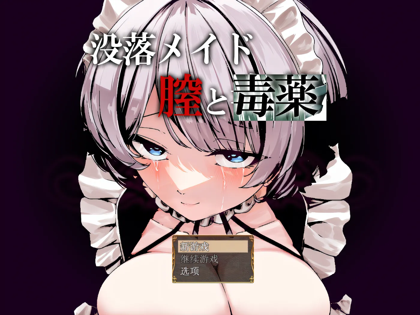 [PC游戏]T14612 堕落的女仆：阴道与毒药 Ver1.0 云翻汉化版 [新作/1.3G]-资源巴士